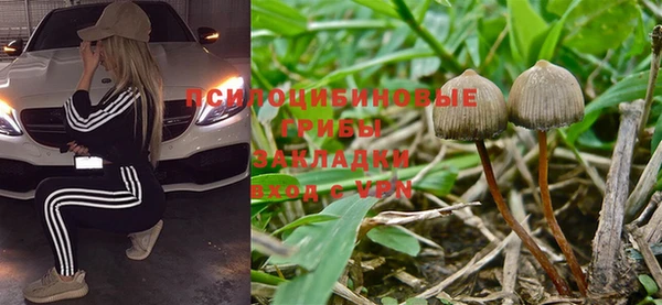 apvp Козловка
