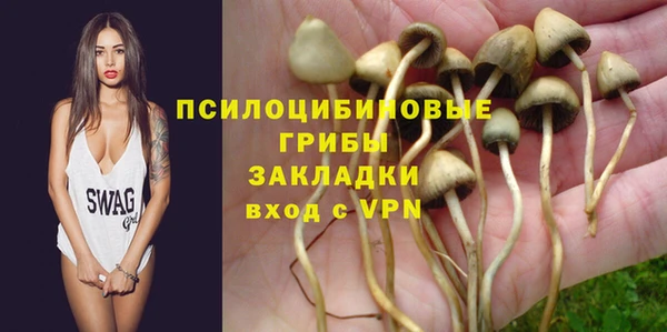 apvp Козловка