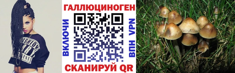 Купить где  Кировград  Галлюциногенные грибы прущие грибы 