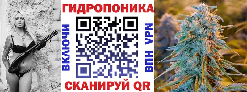 Конопля гибрид  Купить закладки  Кировград 